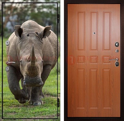 Металлическая дверь с фотопечатью носорога ДФ-31 в Челябинске