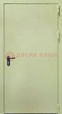 Светлая противопожарная дверь ДПП-22 в Челябинске