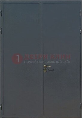 Двухстворчатая техническая дверь ДТ-5 в Челябинске